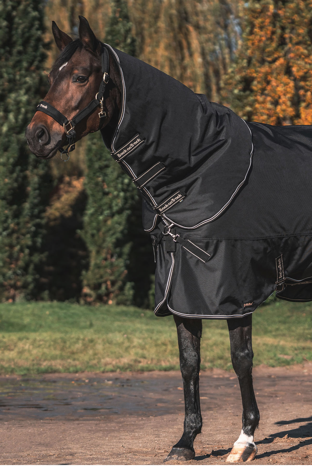 Back on Track, Obsidian Turnout Rug, 0g, Black