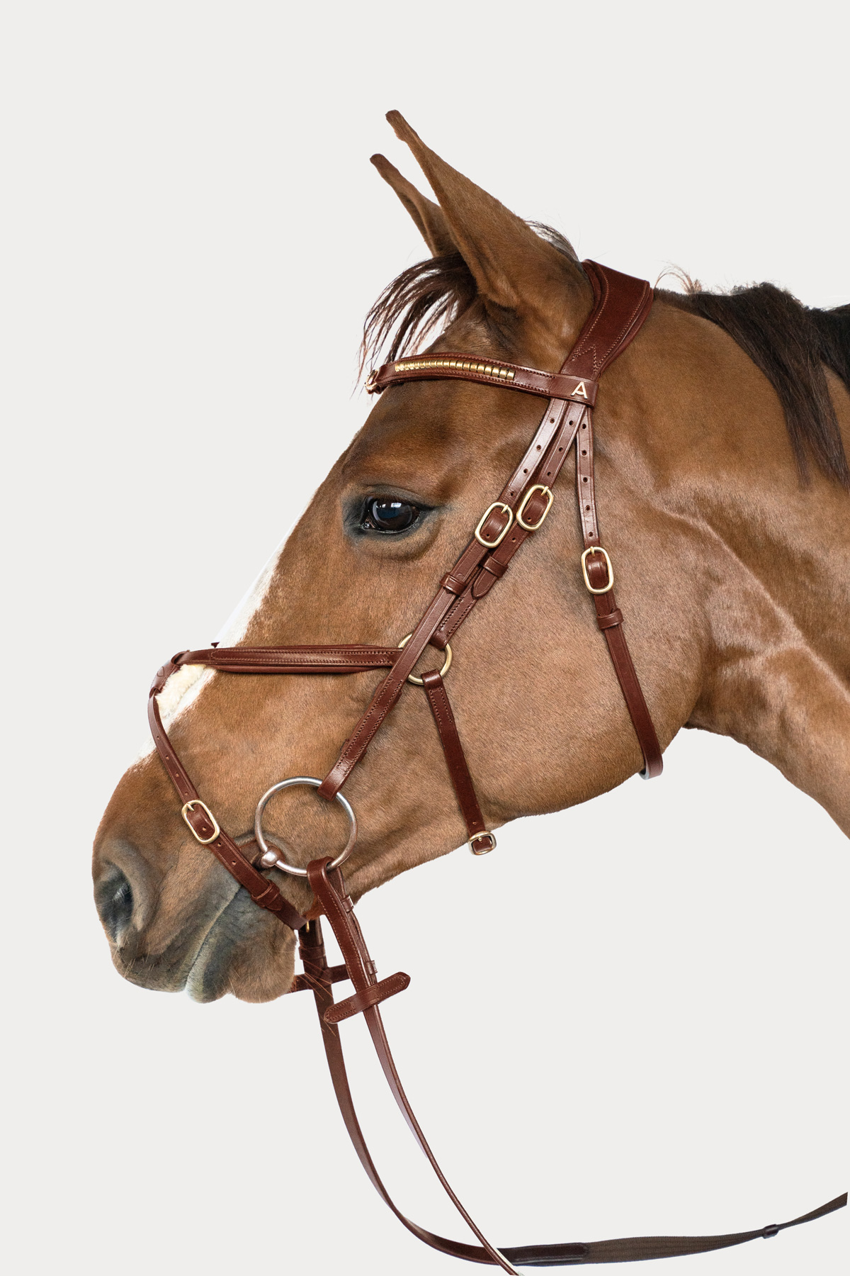 Amiko Essential Noseband Mexican, Cognac