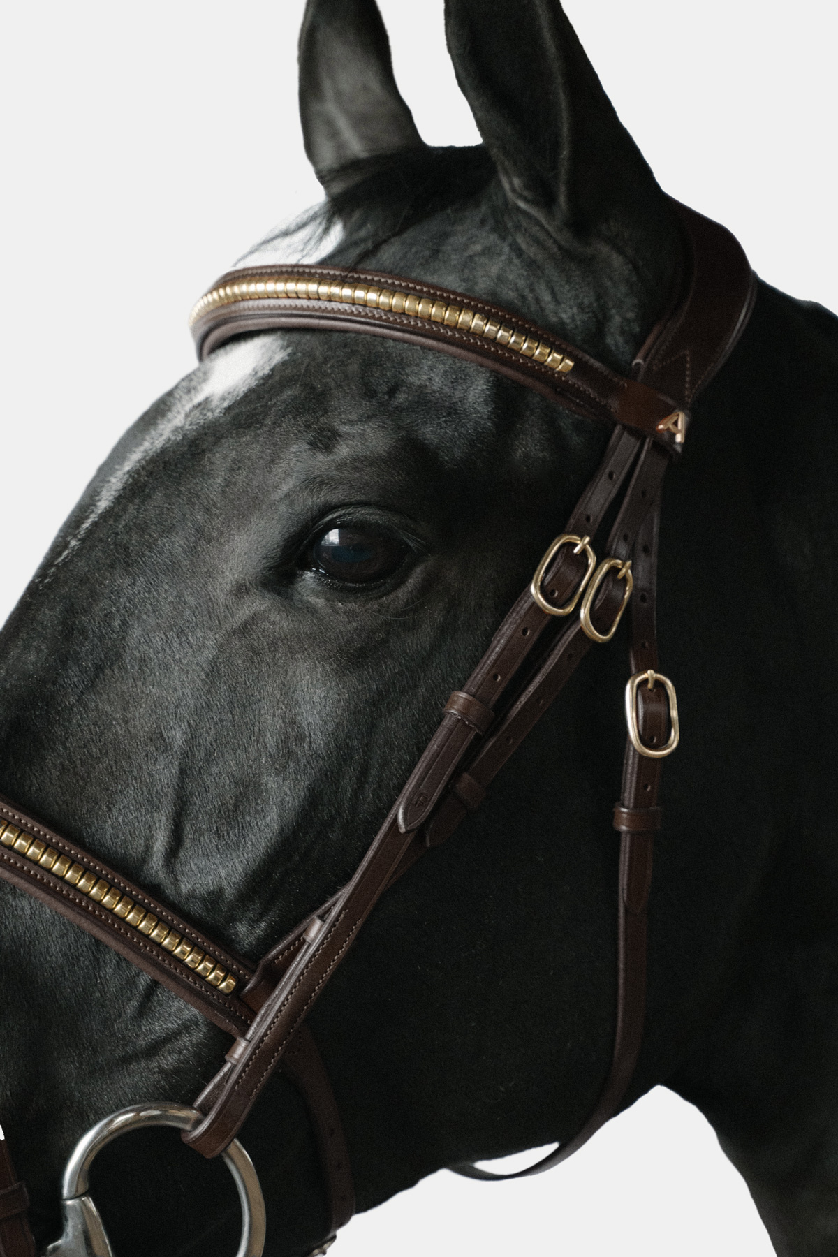 Amiko Essential Straight Clincher Browband, Havana Brown
